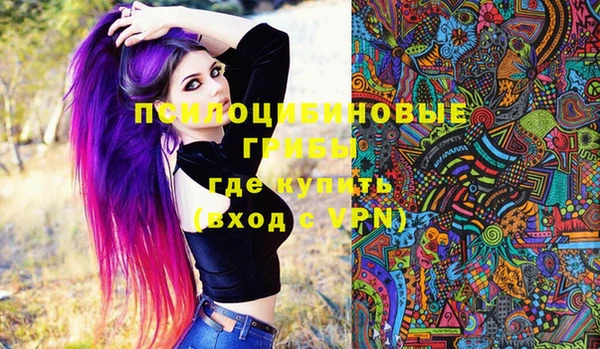 МДПВ Белокуриха
