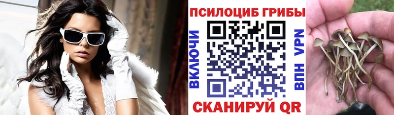 цены наркотик Славгород Галлюциногенные грибы Magic Shrooms