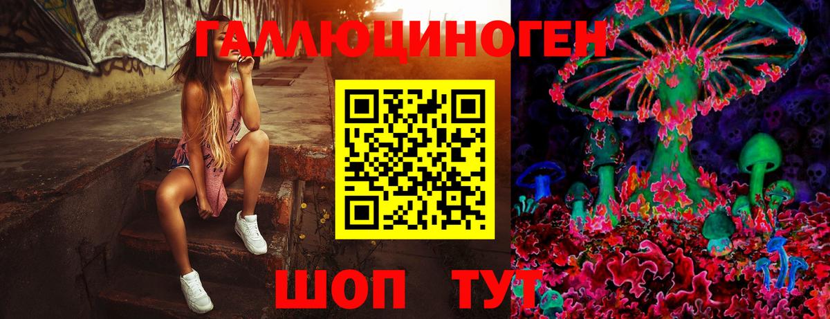 Псилоцибиновые грибы ЛСД Славгород