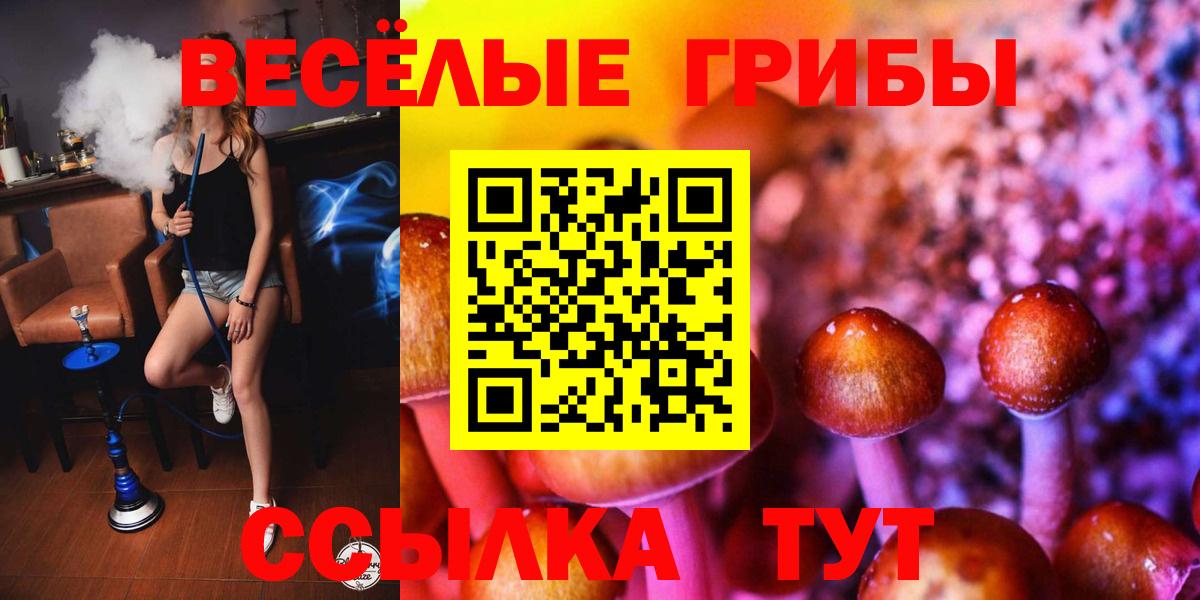 Псилоцибиновые грибы мухоморы  Вход с VPN  Славгород  Галлюциногенные грибы Magic Shrooms 